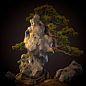 太湖石雕刻石头，盆景 假山。（Tai Lake Stone, stone, sculpture, bonsai, Rockery）