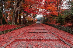 微奇生活采集到路