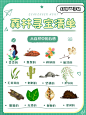 森林寻宝清单｜大自然中的五感