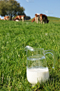 牛奶,母牛,垂直画幅,无人,奶油,玻璃,膳食,夏天,户外,饮料