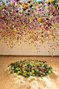 Rebecca Louise Law，是一位来自伦敦的装置艺术家，以大型花艺装置艺术闻名，巧妙使用成百上千的花卉装饰空间而创造出充满生命力的却也具有时效性的美。