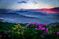 General 2000x1333 mountains flowers sunset mist clouds sky pink flowers yellow flowers plants