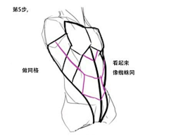 环奈丶采集到X-人体参考