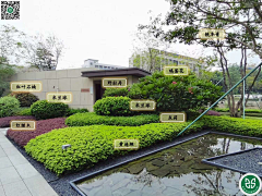 FD-landscape采集到植物选型