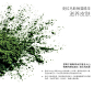 意大利alkemy纤体霜瘦腿霜孕妇身体乳去水肿紧致补水滋润新款8.1-tmall.hk天猫国际