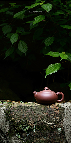 SeeDeer采集到【素材】禅意&茶道