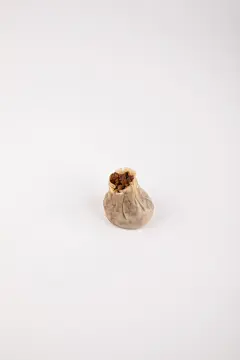 白底烧麦包点面点早餐美食摄影图