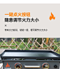 户外通多功能卡式炉野炊燃气炉便携式野外露营烧烤炉双头炉燃气灶-淘宝网