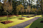 园林景观网-2014ASLA住宅设计杰出奖——美国：雨水花园-花园设计