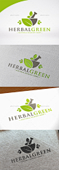 草药标志模板——自然标志模板Herbal Medicine Logo Template - Nature Logo Templates农业、农业、生物、植物、商务、化工、化学、公司,有创造力,药物,生态,生态,环境,绿色,草,工业,实验室,实验室,叶、灰浆、自然、营养学家、制药、制药、植物、一磅重的东西,科学的解决方案,测试矢量 agricultural, agriculture, bio, botanical, bussiness, chemical, chemistry, company, creat