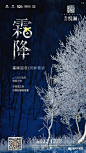​【作品】二十四节气之霜降——地产广告