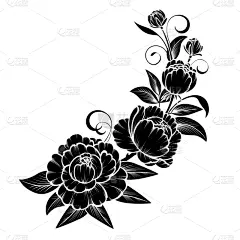 枝,玫瑰,华丽的,植物,夏天,剪贴画,草图,复古,花,剪影