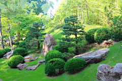 baozibaozi采集到植物