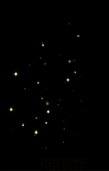 光效gif-花瓣网|陪你做生活的设计师 | D