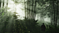 EA游戏艺术师拍摄《对马岛之鬼》美照 张张可做壁纸_看图_ps4吧_百度贴吧
