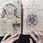 Sketchbook-drawings-elena-limkina-russia