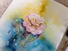 月季-羽_Rachel_水彩,插画,每日一涂,手绘,小清新,花卉_涂鸦王国插画