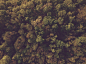View the photo By Ozark Drones