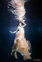 水底唯美艺术创意摄影_瓦兹娜的收集_我喜欢网_百度图片