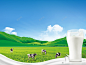 绿色营养健康牛奶宣传海报高清素材 塞上江南 设计图片 免费下载 页面网页 平面电商 创意素材