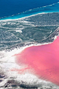 位于澳大利亚的Lake Hillier，来自幻想世界的粉色玫瑰湖，美哭~
