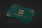Business Card Bundle-2 : These are some of the design I've been working on for the last few days. I tried to design these business cards in a clean and elegant way. I mostly used cool colors in most of the designs because they convey a positive and friend
