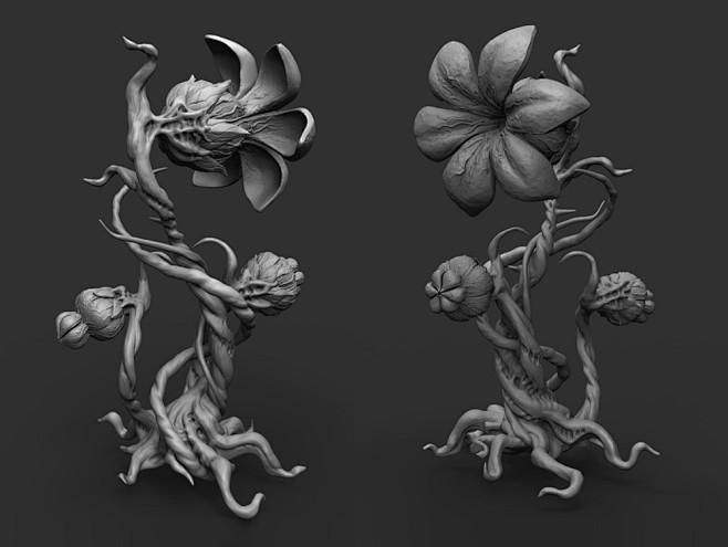 Toxic plant, Julia P...