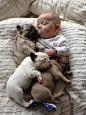 可爱的宝宝与法国斗牛犬幼犬(原图尺寸：720x960px)