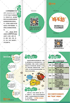 daisywife采集到折页