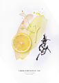 yum tang on Behance