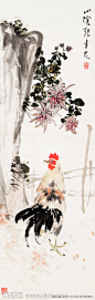 菊花雄鸡