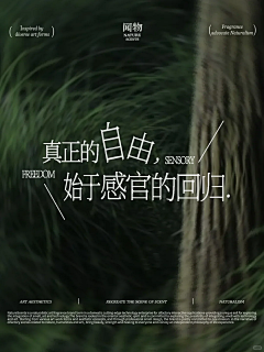 嗯饕餮耄耋玛雅666采集到版式编排