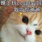 发疯抽象小猫表情包_14