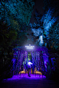 Rainforest Lumina, a multimedia night walk on the wild side | Moment Factory : Set in the Singapore Zoo, and inspired by its mission to bring people closer to nature,  Rainforest Lumina immerses visitors in a luminous living environment. Learn more about 