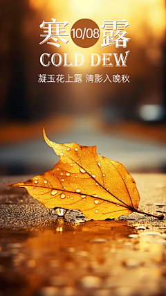 Ven枫采集到个人练习