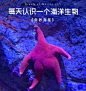 热榜