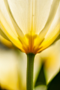 zdenek-machacek-e9VnC6CMGVU-unsplash