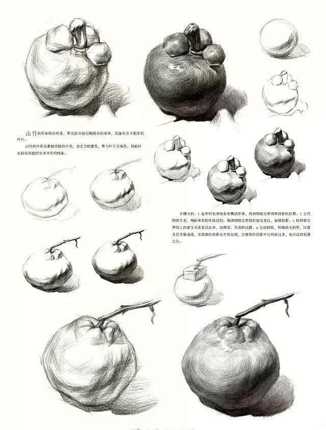 素描静物之水果、蔬菜步骤解析