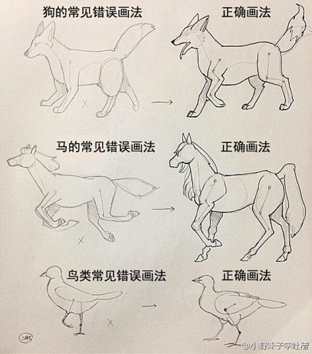 狗、马、鸟，这三种动物大家经常要画，但是...