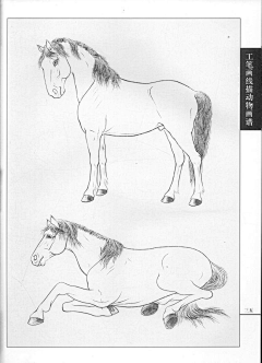 五金大队长采集到白描