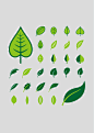 清新彩绘树叶矢量素材，素材格式：EPS，素材关键词：树叶,叶子,矢量植物