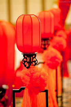 qTYcOejE采集到乐