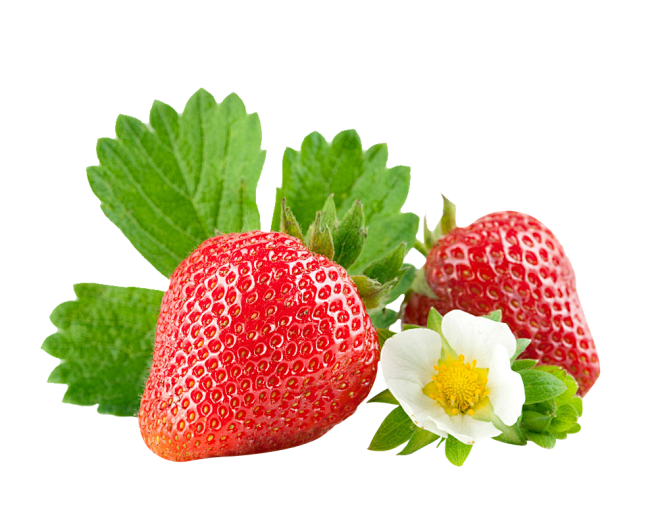 草莓 png