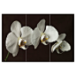 3 Piece Orchid Canvas Wall Art Set