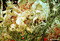 d4dd103dgy1hwhxqf9mlcj236u26rnpg.jpg,320x219 像素