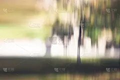 运动模糊,抽象,枝繁叶茂,树梢,明亮,风景,环境,眩晕的,城市游,记忆