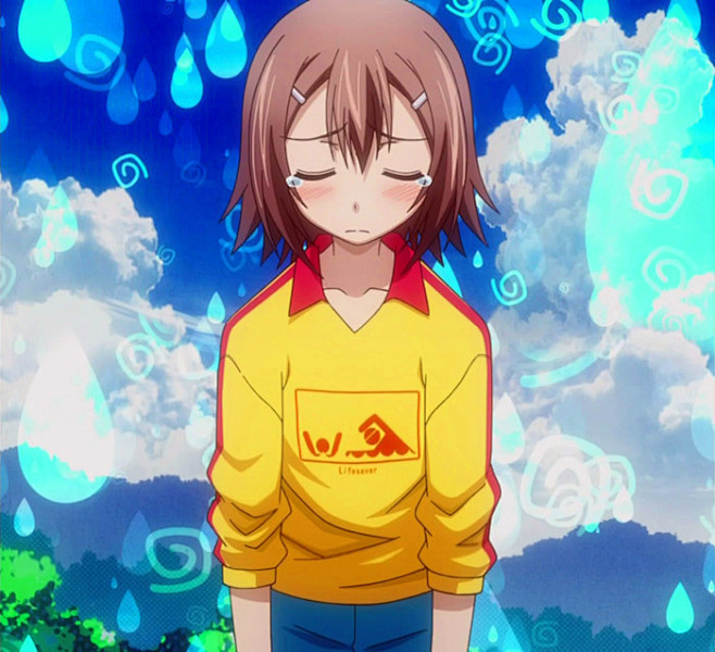 笨蛋测验召唤兽因为秀吉的性别是秀吉啊