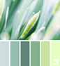 Design Seeds : Design Seeds color palettes ... posted daily for all who love color.