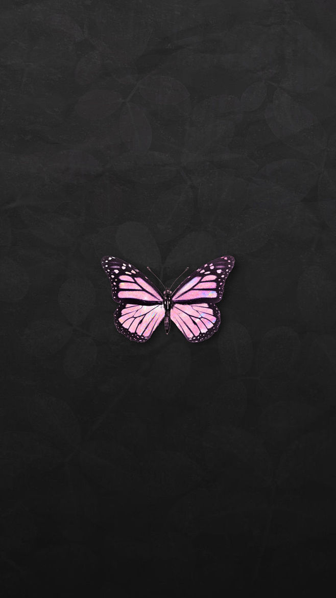 黑色背景上的粉红色全息蝴蝶，手机壁纸20...