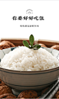 没想稻五常大米10斤稻花香新米五常有机大米5kg锁鲜充氮小包装米-tmall.com天猫